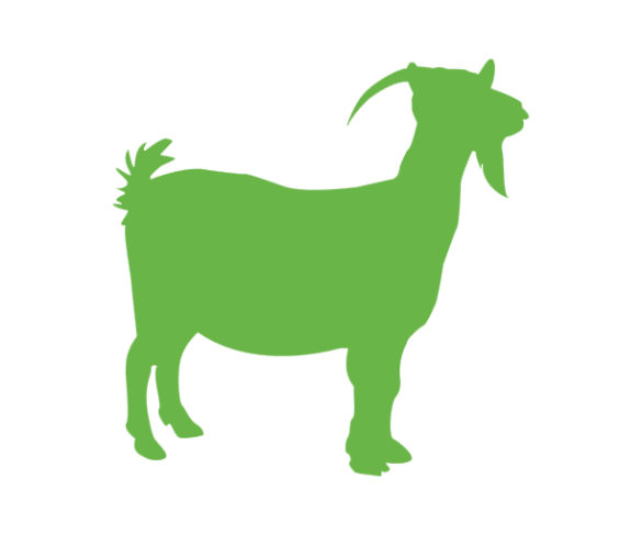 Wholesale Dog Treats Bark with Buster